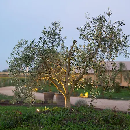 Calasole Glamping * Pescia Romana