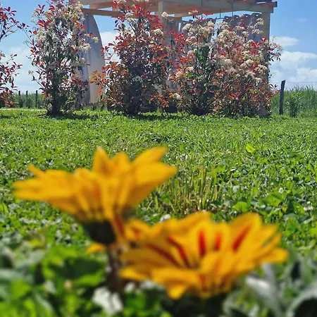 Calasole Glamping Pescia Romana
