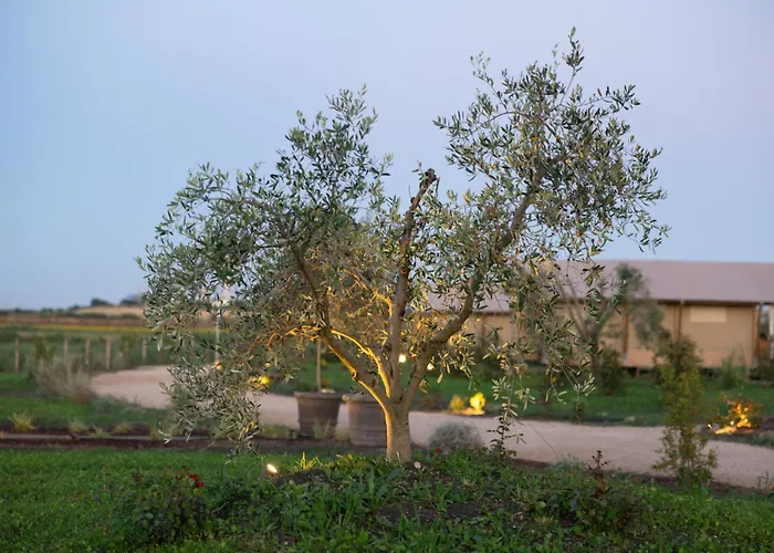 Calasole Glamping * Pescia Romana