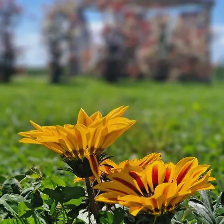 Calasole Glamping Campismo de Luxo *